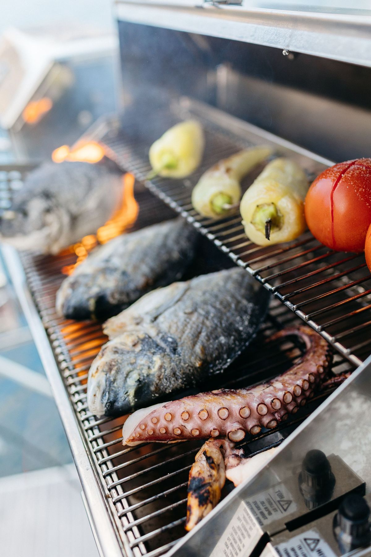 Day Private Sailing Cruise With Newly-Built 460F Catamaran